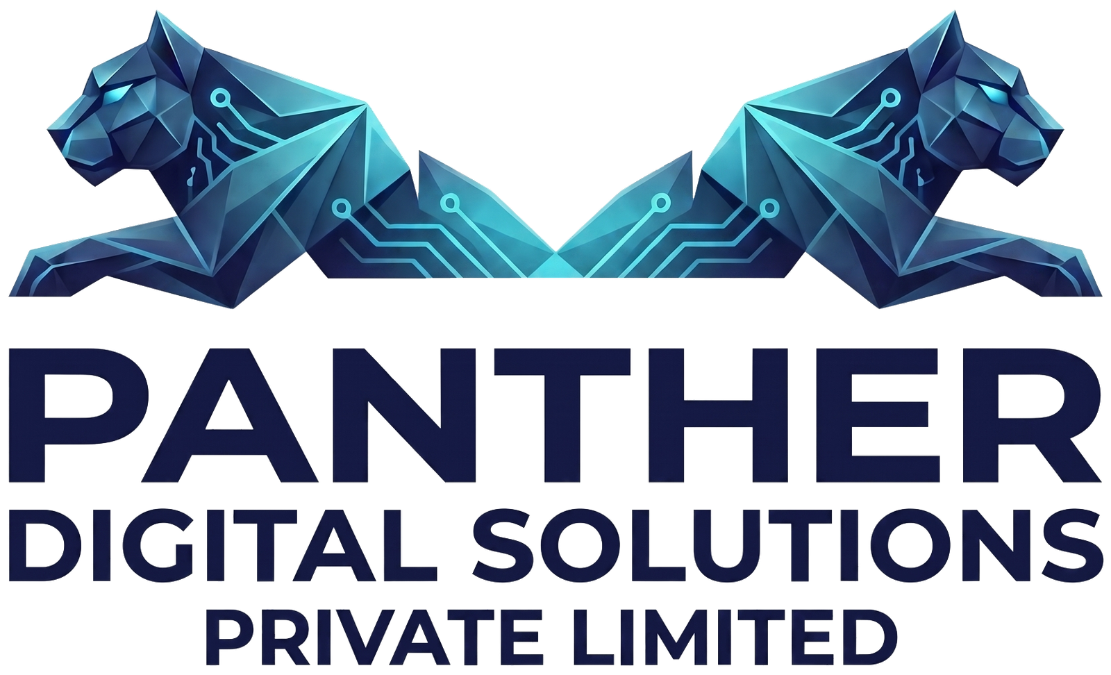 Panther Digital Solutions